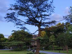 -中山公园