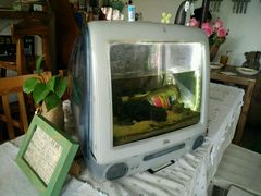 android_upload_pic-海边的猫和咖啡馆