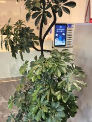 -LJOY丽锦造型·烫发染发