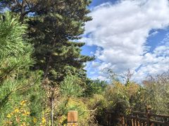 -帽儿山国家森林公园