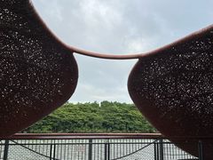 -东寨港红树林旅游区