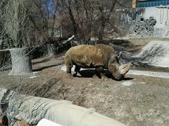 -新疆天山野生动物园