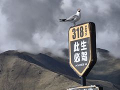 -羊卓雍措