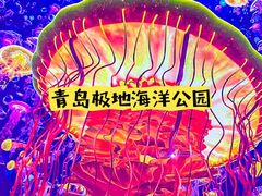 -海合安青岛极地海洋公园