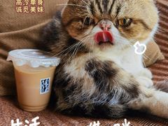 -参差咖啡(水果湖公园店)