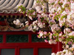-海棠花溪(元大都城垣遗址公园)