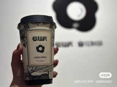-莓超疯(百源店)