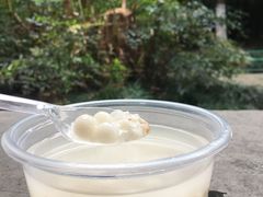 -潘玉麟糖粥