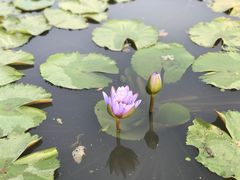 -迪茵湖田家舍生态农场