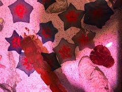 -沈阳海洋探索中心