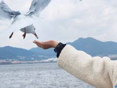 -海埂大坝