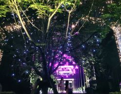 -杭州运河黄龙璀丽酒店-宴会厅