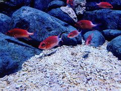 -成都浩海立方海洋公园