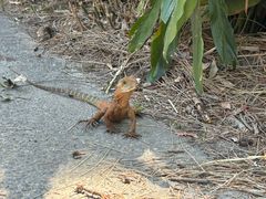 -可伦宾野生动物保护区