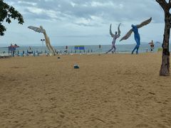 -大梅沙海滨公园