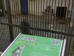 -广东茂名森林公园