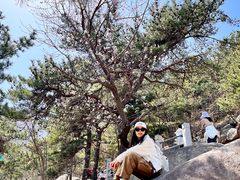 -崂山仰口游览区