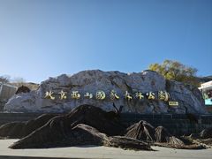 -北京西山国家森林公园