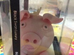6be7f977jw1e7jwgxerwfj20xc18gk4u-BLACKSWAN黑天鹅(环球店)