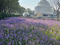 -上海鲜花港