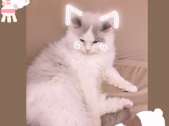 -怪兽屋·羊驼·猫咖·狗咖(俊华广场店)