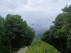 -梧桐山风景名胜区