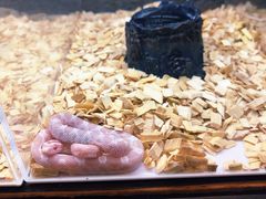 -中环花鸟鱼虫市场