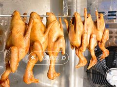 -鸽小宝(深圳首店)