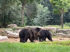 -北京野生动物园