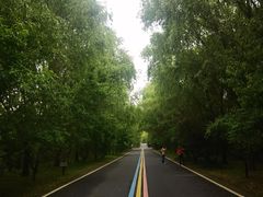 -同里国家湿地公园