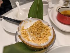 -东方御宴海鲜酒楼(棕泉酒店)