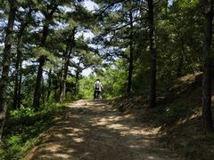 -北京鹫峰国家森林公园