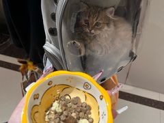 -兰汀酒店(三香路苏州市体育中心店)