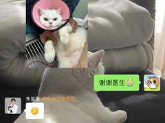 -联合动物医院(光谷诊疗中心)