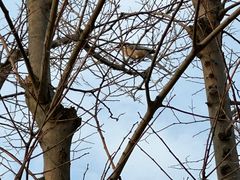 -盘龙城国家考古遗址公园