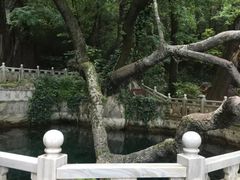 -蝴蝶泉公园