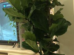 -三圣花乡旅游区