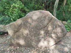 -上海佘山国家森林公园天马山园