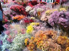 -越秀西湖花市(广州城市广场花卉店)
