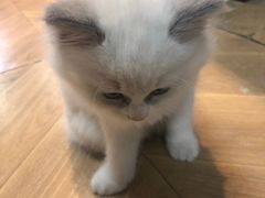 -螺大蛳柳州螺蛳粉·火锅·热干面(西城永捷店)