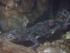 -波塞冬旅游度假区