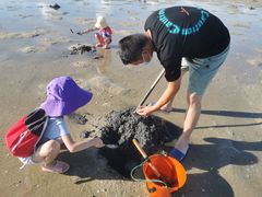 -北海金海湾红树林生态旅游区