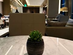 -上海宝华万豪酒店
