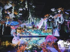 -Timo队长·高端生日派对策划机构(静安寺店)