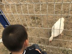 -东郊湿地公园