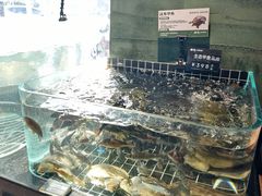 -湘轩·土菜研究院(光大店)