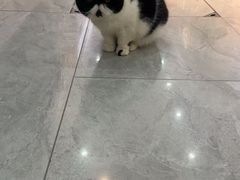 -恒幸动物医院·急重症转诊中心·神经内外科·CT核磁
