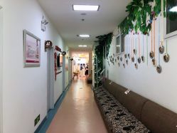 -北京安琪