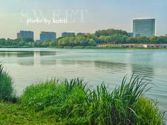 -大兴滨河森林公园