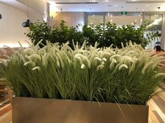 -卡朋西餐(扬名广场店)